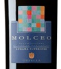 Ottella Molceo Lugana Superiore 2010